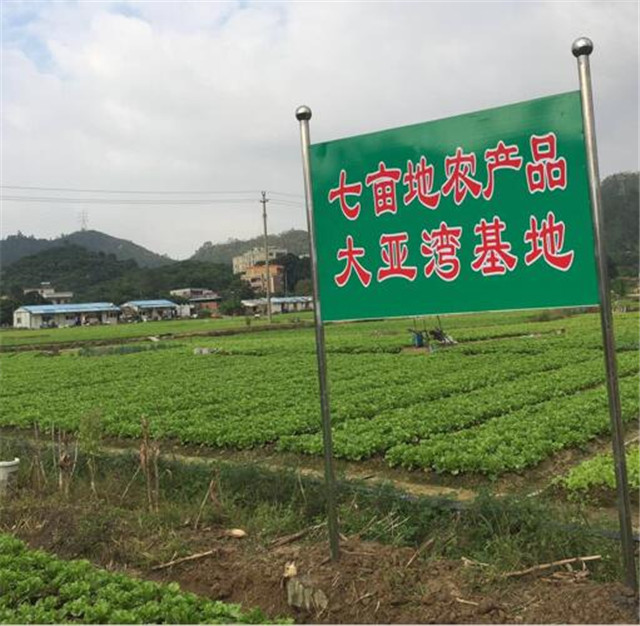 蔬菜种植基地