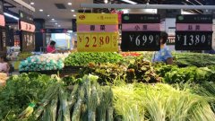 惠州农副产品了解武汉种博会精彩亮相，秋季蔬菜展有31个新品获专家推介