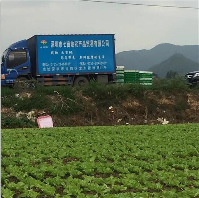 蔬菜种植基地